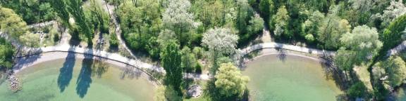 Seeufer Luftaufnahme